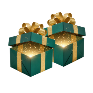 🎁 Twin Mini Mystery Box